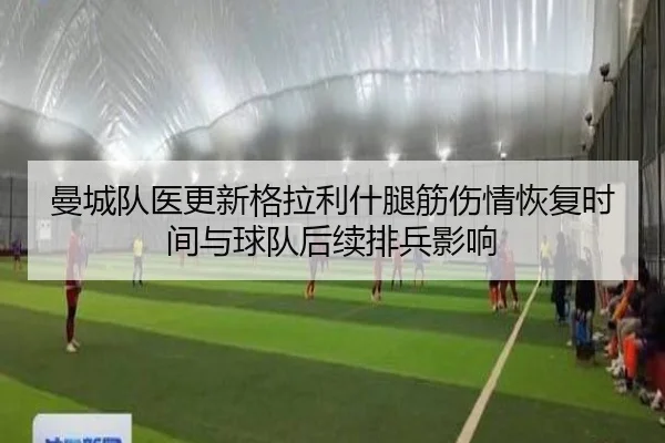 曼城队医更新格拉利什腿筋伤情恢复时间与球队后续排兵影响
