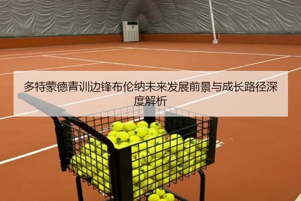 多特蒙德青训边锋布伦纳未来发展前景与成长路径深度解析